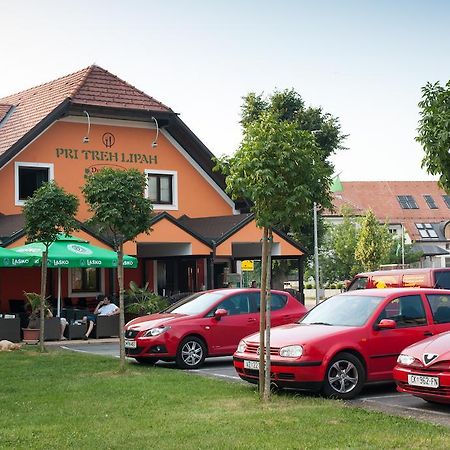 Guest House Pri Treh Lipah Ptuj Exterior photo