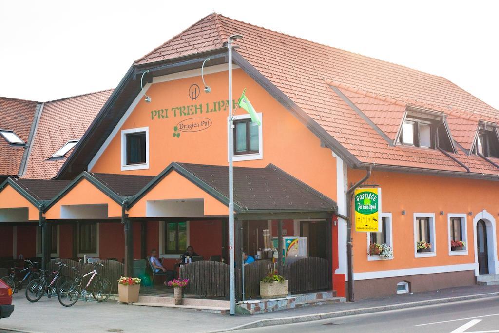 Guest House Pri Treh Lipah Ptuj Exterior photo